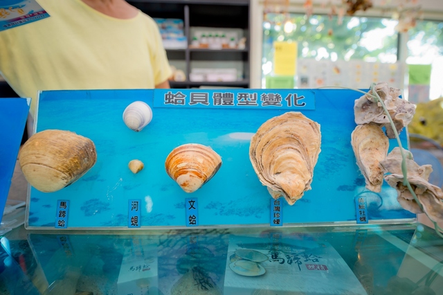Changes in clam size