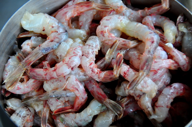 velvet shrimps