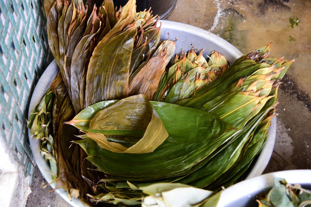 三股肉粽使用的竹葉