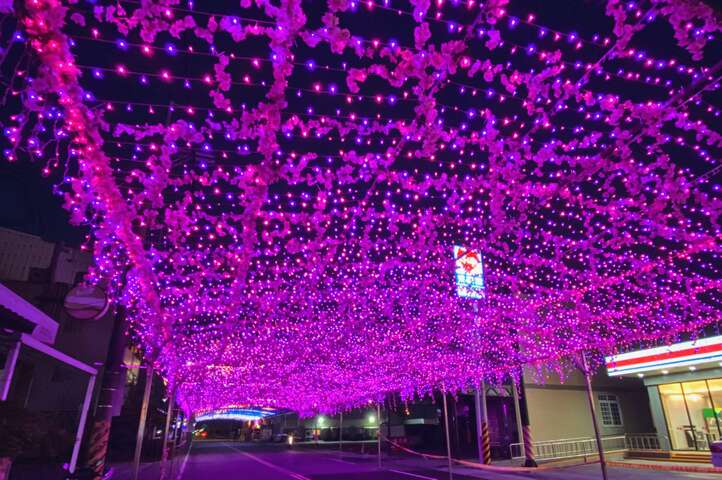 馬沙溝燈會-京都櫻花