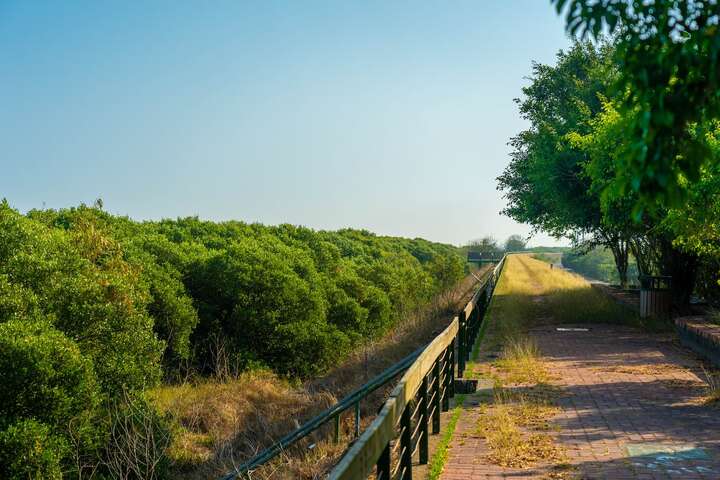 朴子溪口濕地堤防上有步道可以漫步欣賞濕地景觀
