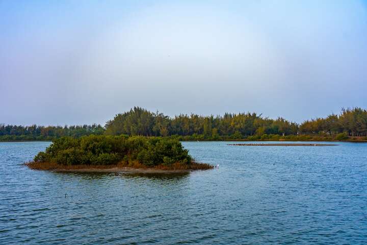Budai Wetlands Ecological Park
